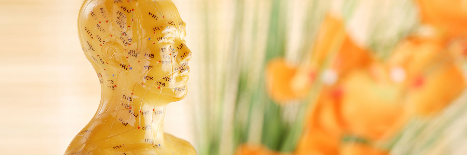 How Acupuncture Can Help You
